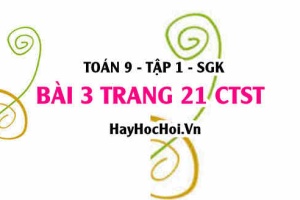 Bài 3 trang 21 Toán 9 tập 1 Chân trời sáng tạo SGK